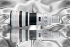 EF 600mm 1:4L IS USM